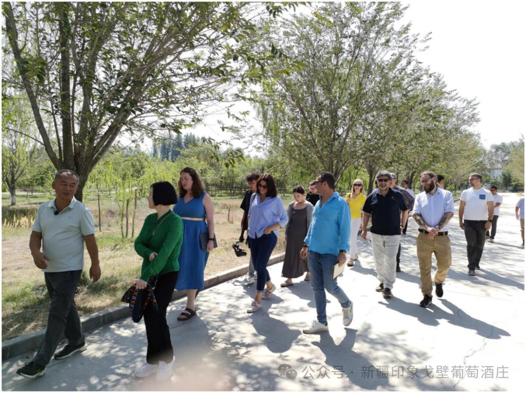IWSC judges walking the estate
